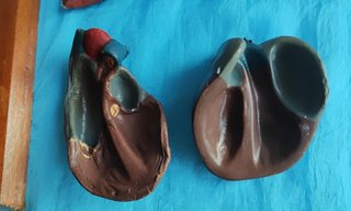Modelo Anatómico Vintage: Pulmones y Corazón