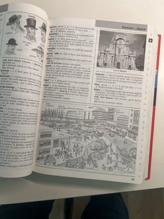 Diccionari escolar de català.
