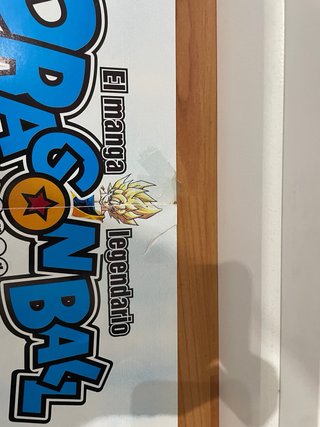 Póster Dragon Ball Z Salvat 87x57 cm