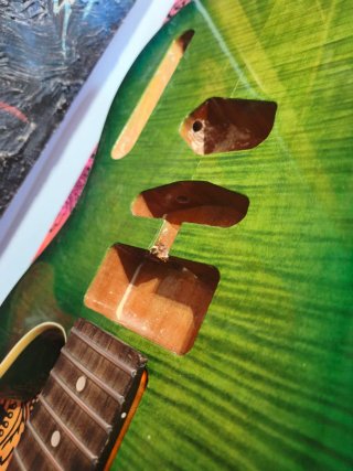 Proyecto Telecaster Partes Guitarra Eléctrica