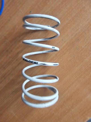 Muelle Malossi Blanco 49cc Embrague 107mm