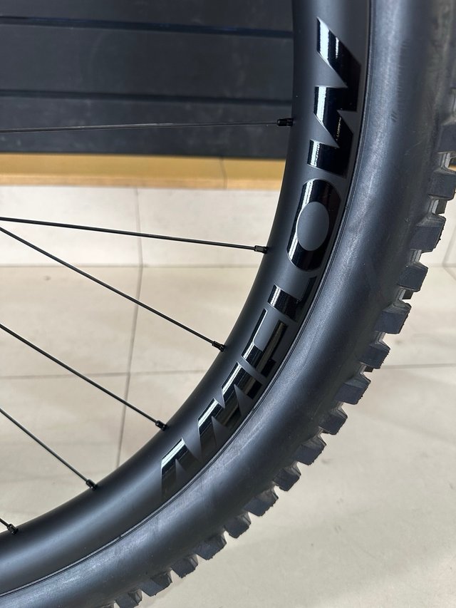 Amflow PL CARBON PRO EBIKE
