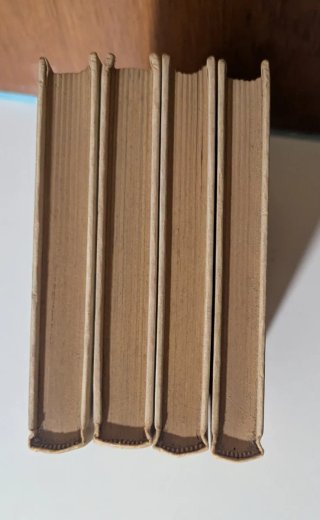 Pack de 4 libros de la colección Tus Libros. Anaya