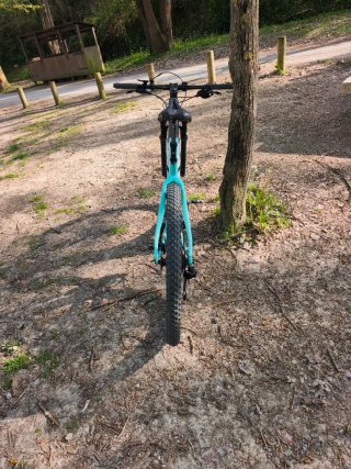 Bianchi Methanol CV 9.4