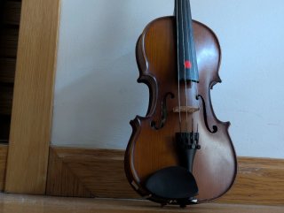 Viola Stentor 1/2