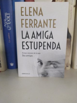 La amiga estupenda (Dos amigas 1)