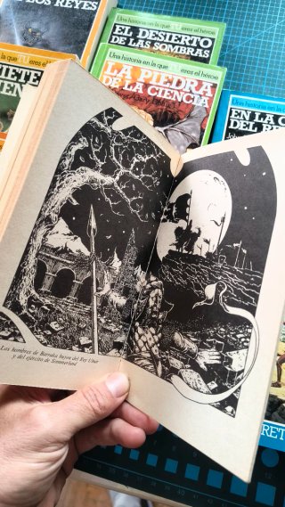 Colección de libros juegos Altea