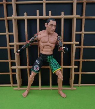 Action Figure UFC