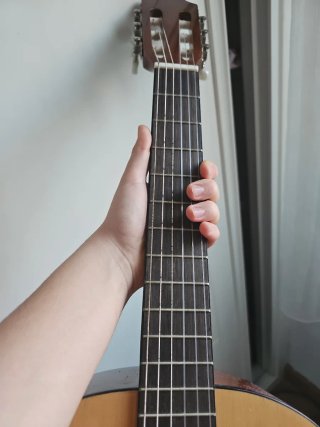 Guitarra con funda