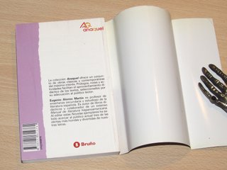 Novelas ejemplares Miguel de Cervantes Bruño