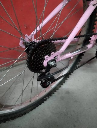 Bicicleta rosa Speed