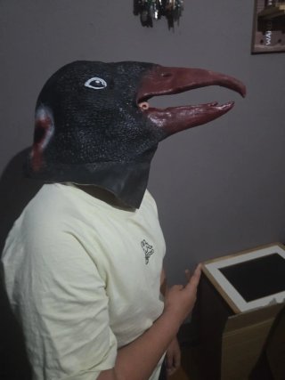 Máscara de pájaro negra con pico rojo