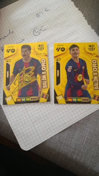 Lote de cartas Richi Adrenalyn