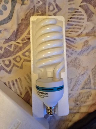 Kit de luz INTEY para fotografía