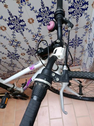 Bicicleta Blanca Montaña