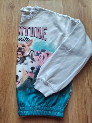Sudadera H&M niña 14-15 años perros aventura