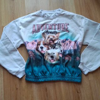 Sudadera H&M niña 14-15 años perros aventura