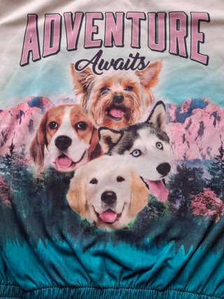 Sudadera H&M niña 14-15 años perros aventura