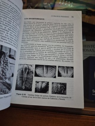 Libro La Vida en la Tierra: Origen y Evolución