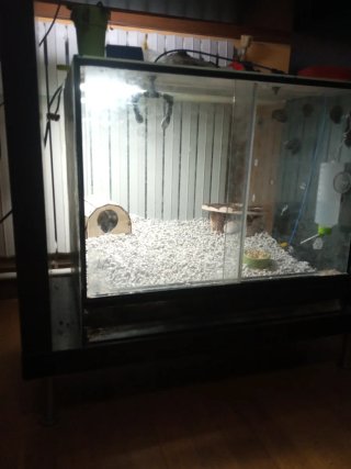 Terrario para mascotas