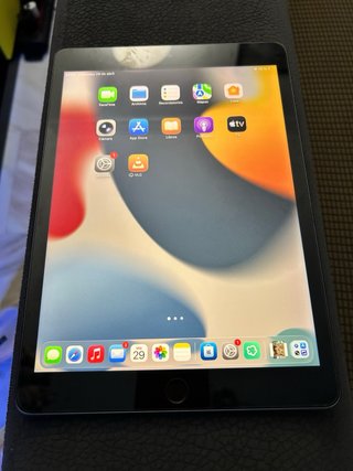 Apple iPad 9ª Gen Plata/Gris Espacial