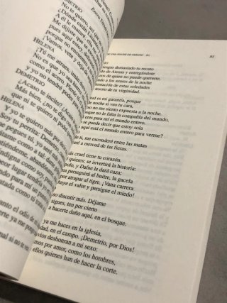 El sueño de una noche de verano / Noche de Reyes