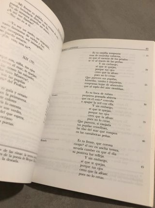Libro Rimas y Leyendas