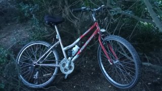 Bicicleta de montaña roja y plateada