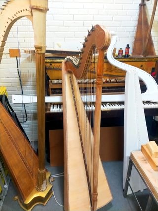 Arpa Blanca y Arpa Celta Paraguaya