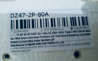 EARU DZ47-100 C80 Interruptor Automático