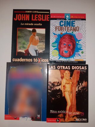 Lote 4 Fanzines Anime Español