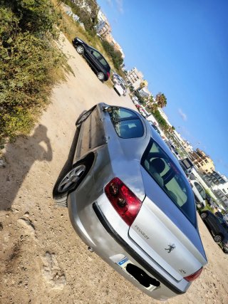 Peugeot 407 2005