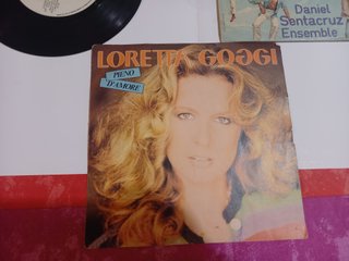 8 Vinili 33/45 Giri: Ferri, Springsteen, ecc.