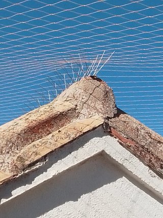 Sistema anti palomas