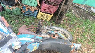 Puch Borrasca