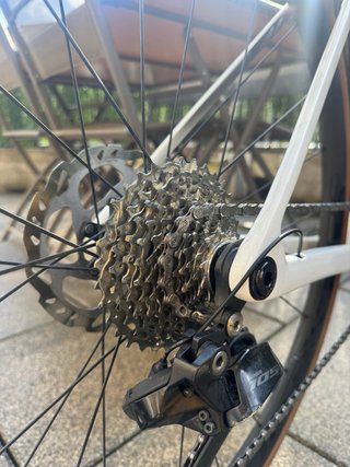 Trek Madone Gen 8 sl6 2025 - Talla S