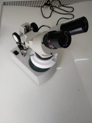 Microscopio Estereoscópico WF10X