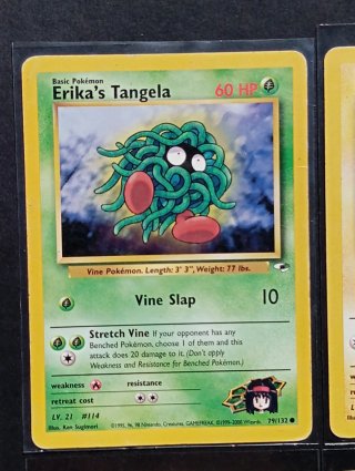 Carte dei Pokémon - Gym Heroes