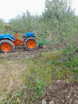 Motocultor para labrar campo