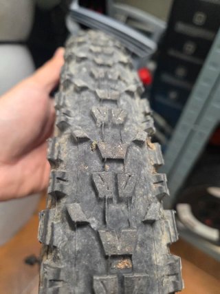 Pack 2 Cubiertas Maxxis Ardent 29