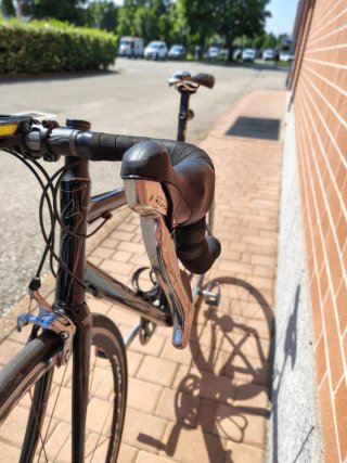 Bici Corsa Specialized Roubaix