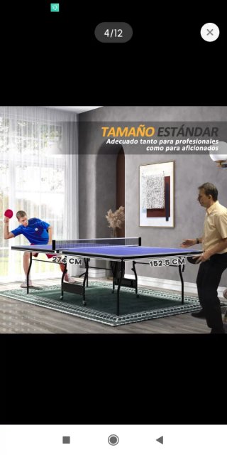 Mesa de ping pong profesional plegable