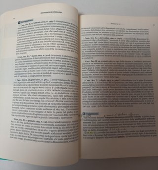 Pareri di diritto civile 2010. Prova scritta es...