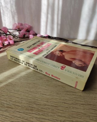 Novela Historias de amor de la historia de Francia