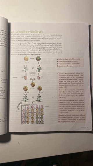 Biología y Geología 4 ESO