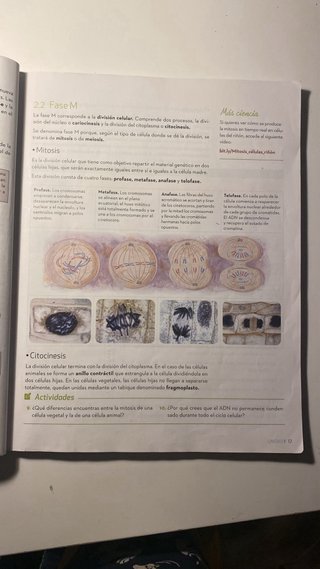 Biología y Geología 4 ESO