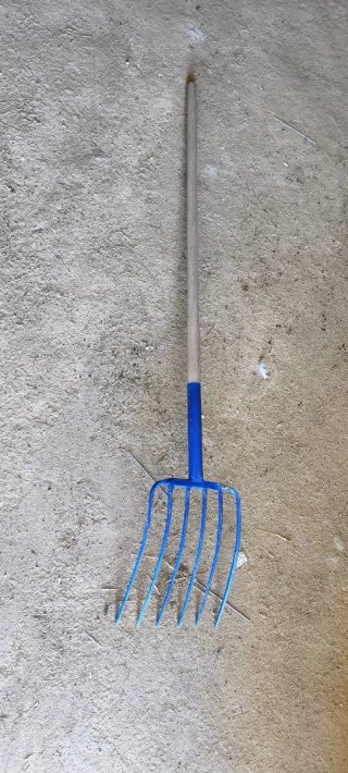 Biergo azul