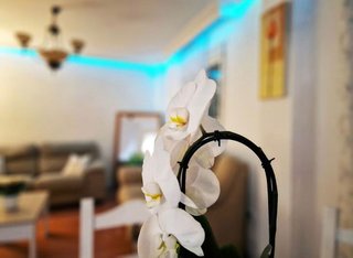Chalet en alquiler en Puerto de la Torre - Atabal en Málaga