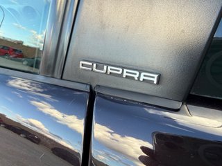 SEAT Ibiza CUPRA 1.8T 180cv 2008