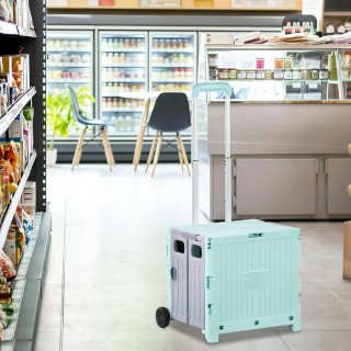 Carrito de Compras Plegable con Ruedas
